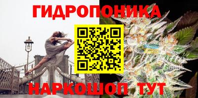 молекула духа Тара