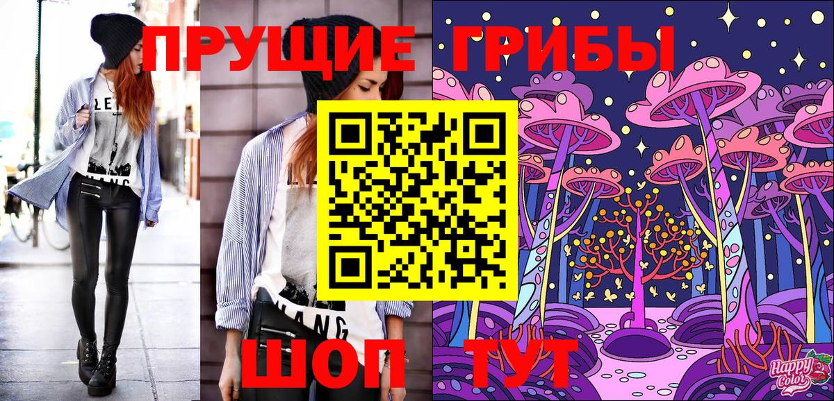 Псилоцибиновые грибы Psilocybine cubensis Боровичи