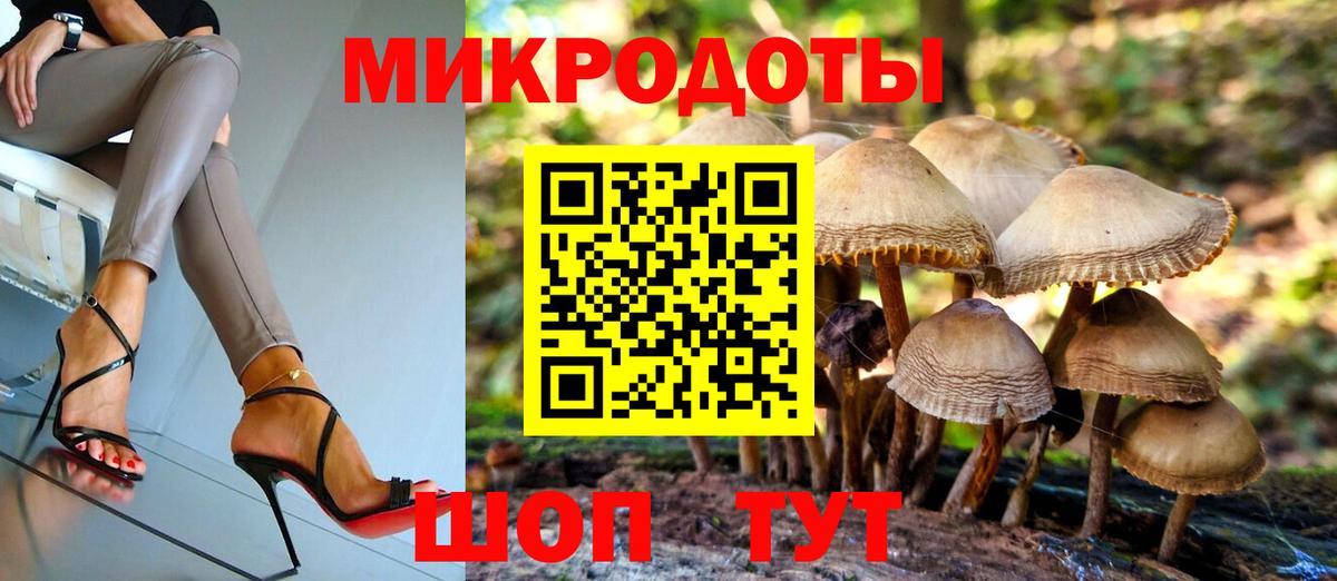 Боровичи  Псилоцибиновые грибы Cubensis  Вход с VPN 